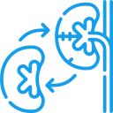Kidney Transplant